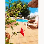 Canarias 6 *